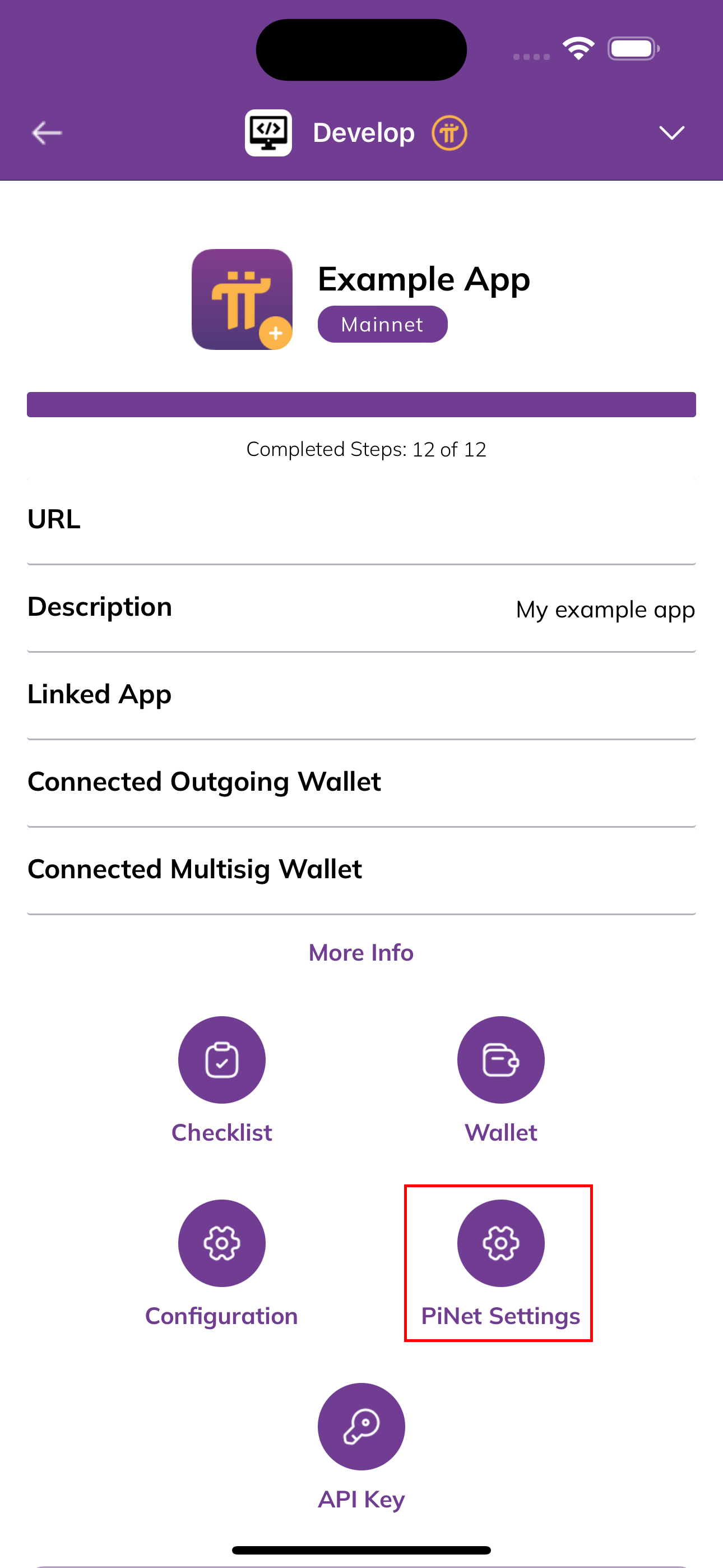前往 Pi 开发者门户中的 PiNet 设置